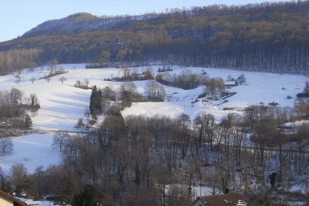 B&B Am Sonnenhuegel Baden Kültér fotó