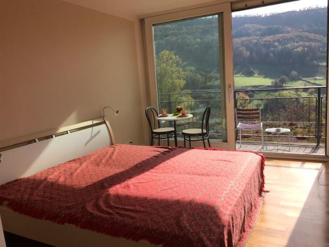 B&B Am Sonnenhuegel Baden Kültér fotó